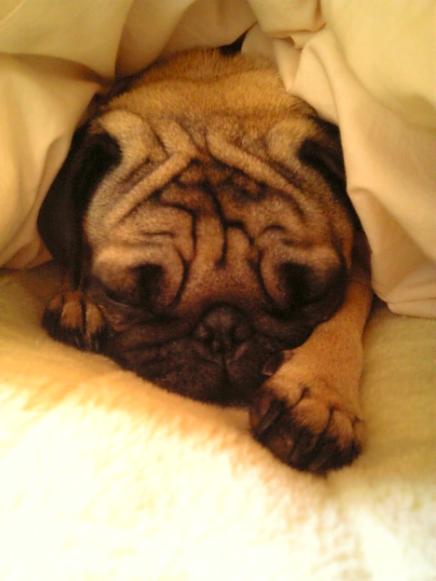 寝ぼすけさん☆