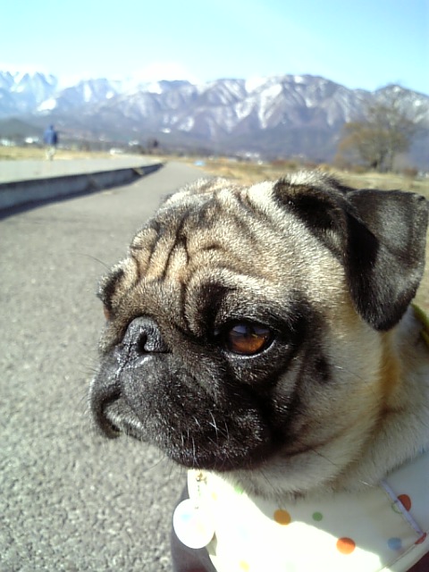 ★大自然とつむじ★