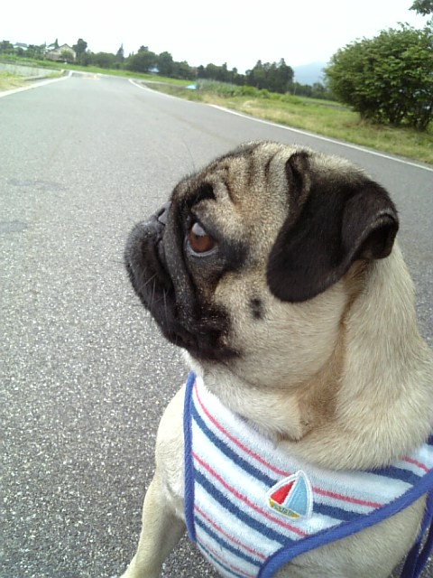 んっ?誰かいたぞぉ☆