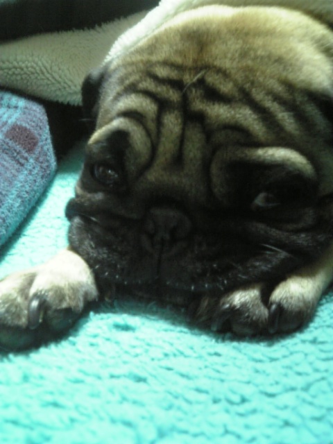 つむじ健在なり~♪