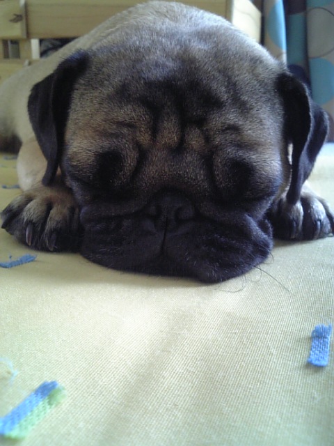 寝る子は育つ★