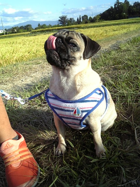 マテをするつむじ★