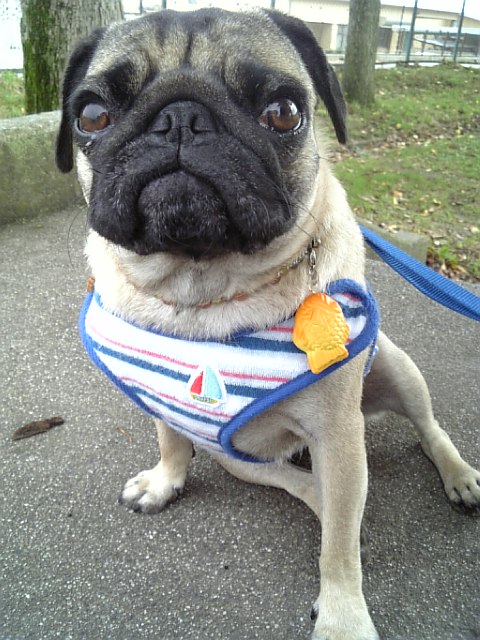 会えなくて悲しいお顔・・・★