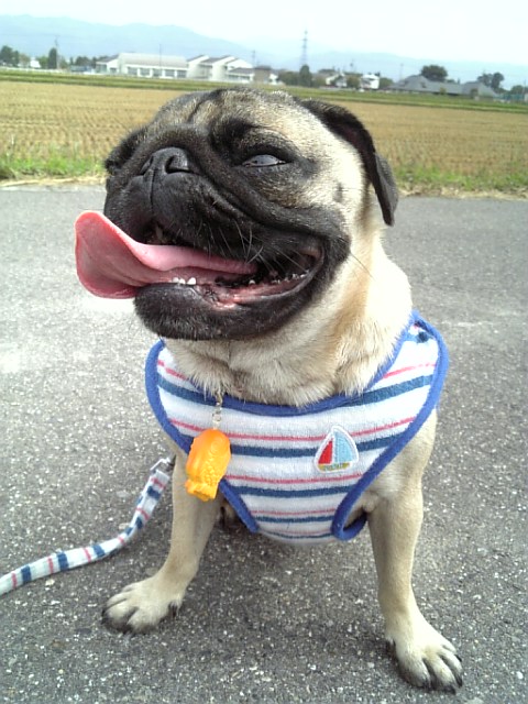 また会いに来るネェ~★