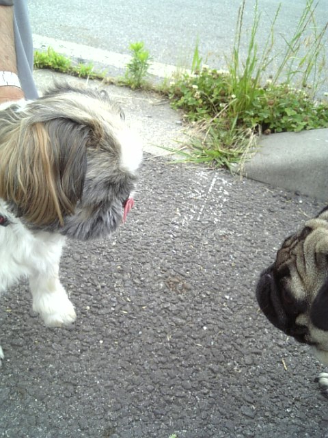 ♂なのに…ミウちゃん☆