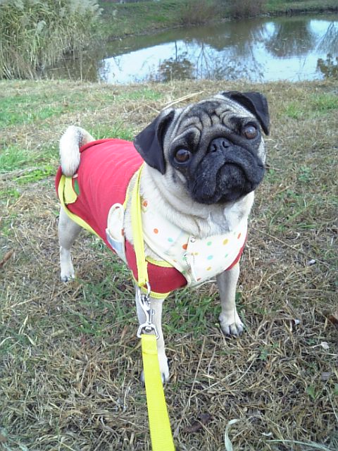 ☆ばいば～いっ☆