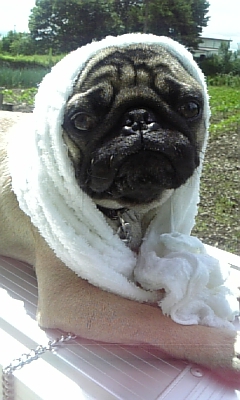 暑いねぇ。。。