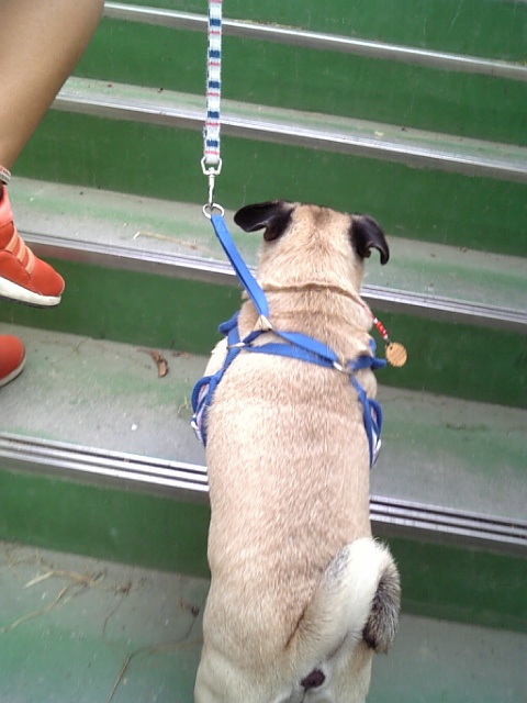 階段を昇れば・・・☆