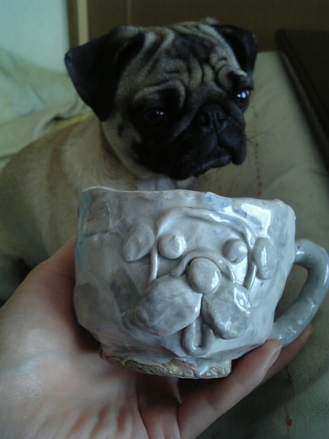 つむじ＆つむじカップ