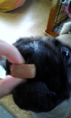 いただきまぁす♪