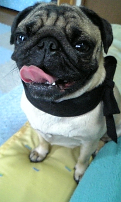 余は満足じゃあ～★