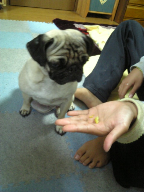 おすそわけ。。。