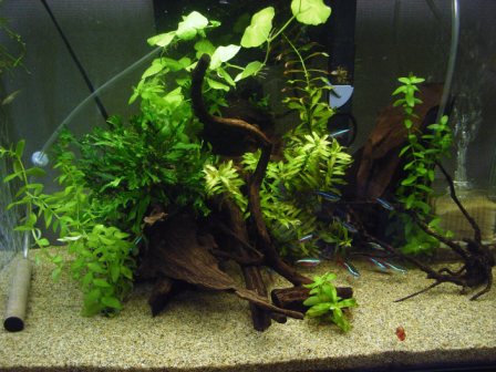 以前のレイアウト