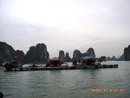 水上生活者のいかだ