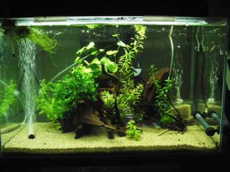 2011年9月25日のレイアウト