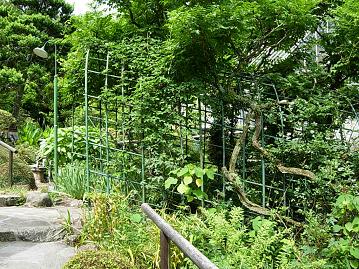 富士屋ホテル