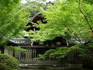 京都　永観堂