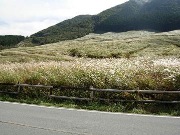 箱根　仙石原