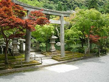 京都　永観堂