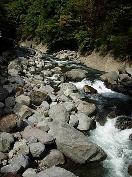 箱根　早川渓谷