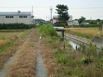 田園風景