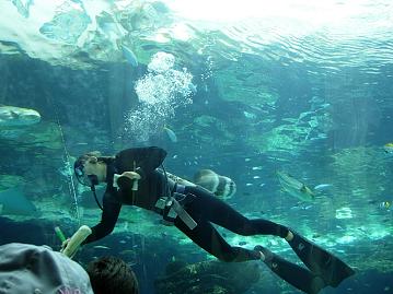 名古屋港水族館