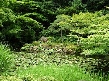 南禅院