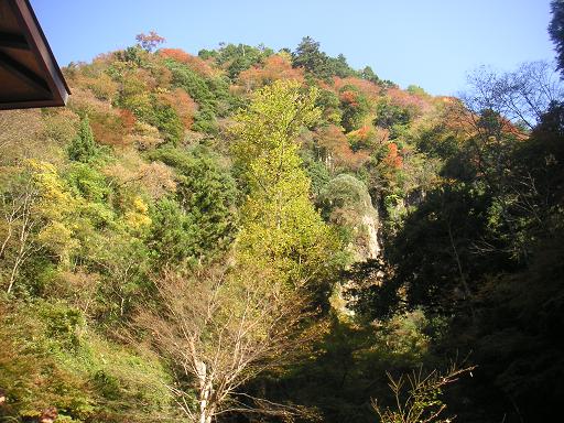 PICT2209紅葉.JPG