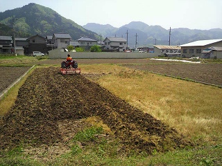 2010050413390000.jpg