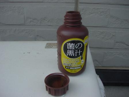 DSC00014.JPG
