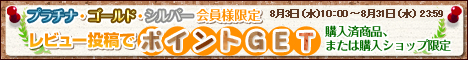 レビュー