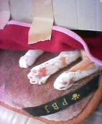 伸び