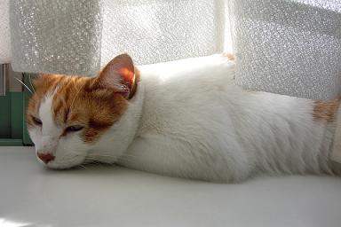 うつろ