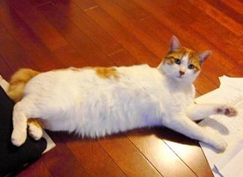 いろいろとね