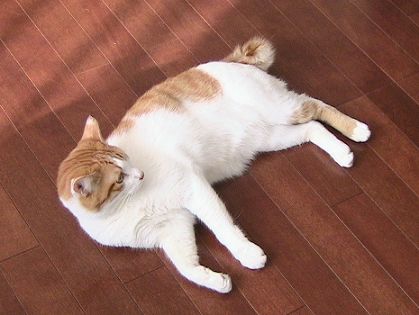 緊張