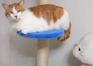 おさまり中