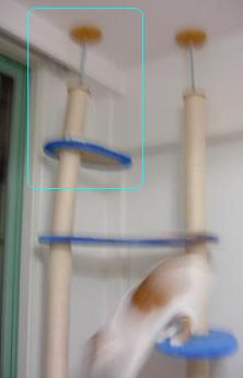 飛び降り中
