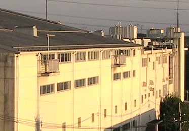 窓辺から２