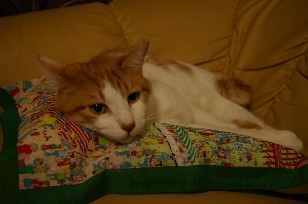 ねむたげ