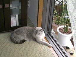 初冬のくつろぎ