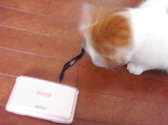 DSも