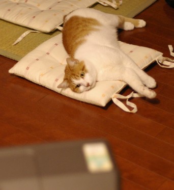 ストーブ