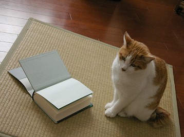 読書？