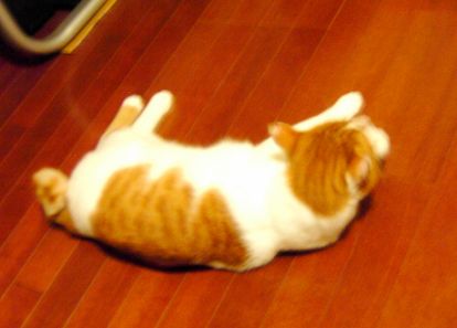 とぼける