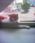 どう？