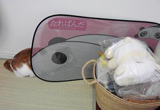 かくれんぼ