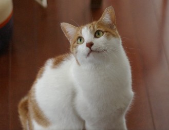 ！？