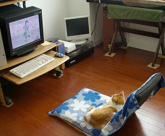 ときめく？