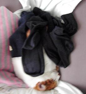 ｚｚｚ
