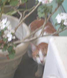 気づかれてます